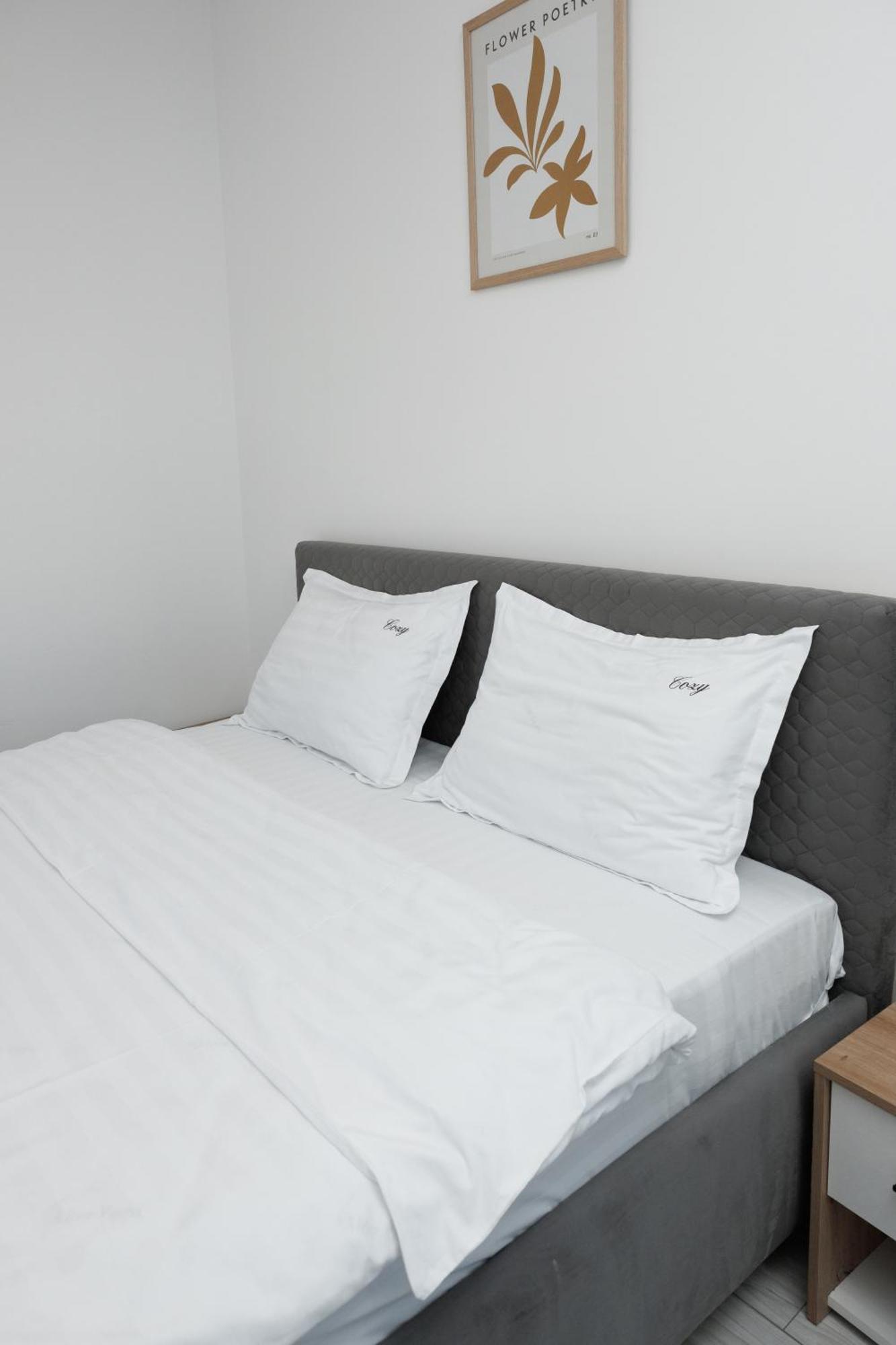 Cozy Aparthotel K سوتْشافا المظهر الخارجي الصورة