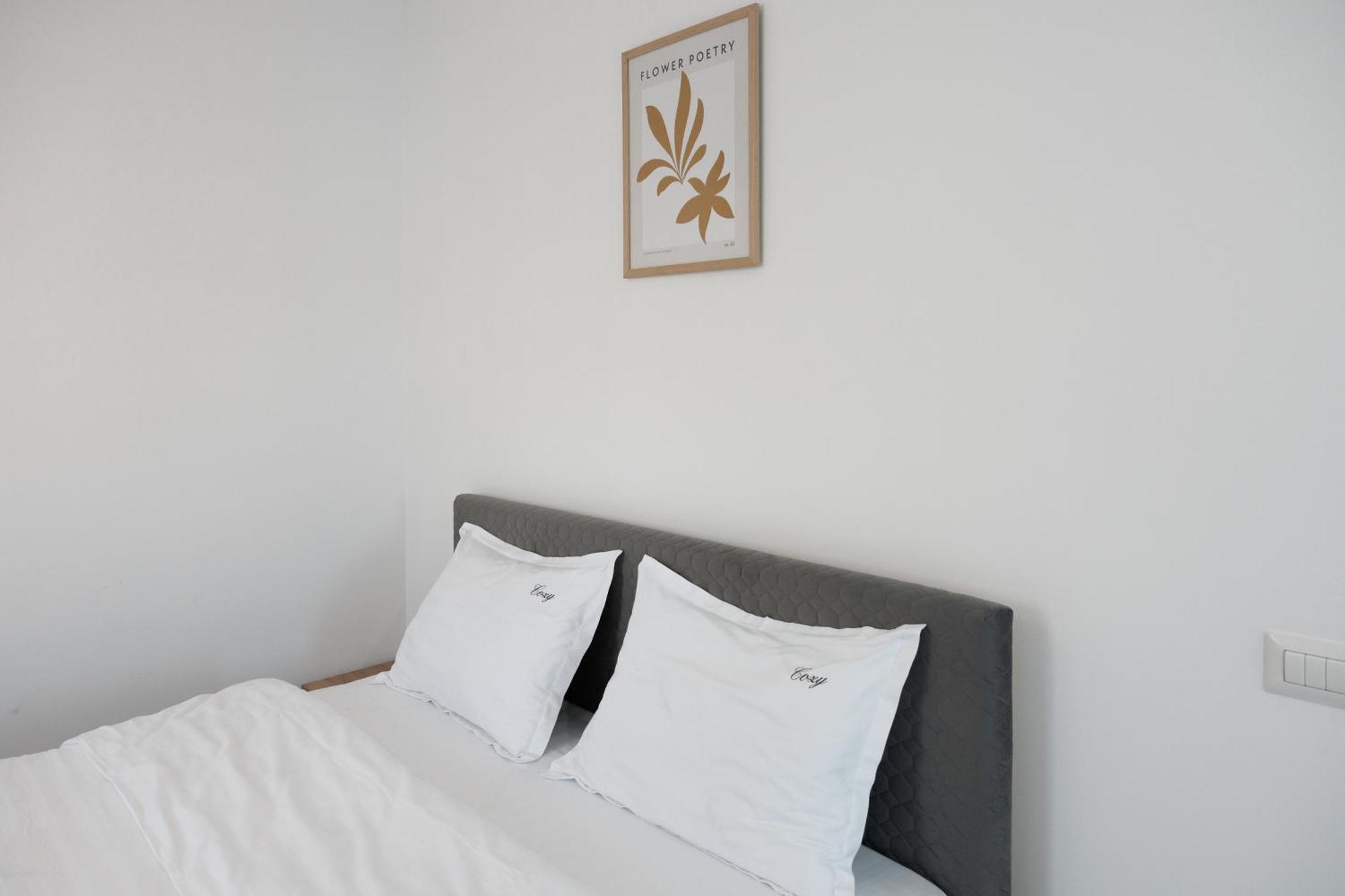 Cozy Aparthotel K سوتْشافا المظهر الخارجي الصورة